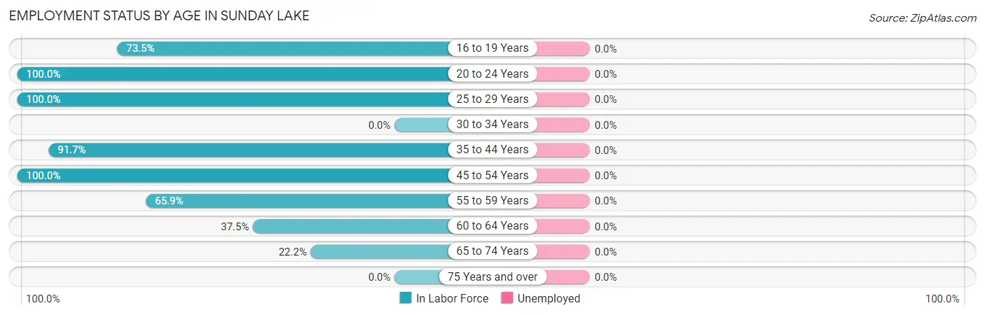 Employment Status by Age in Sunday Lake