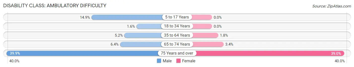 Disability in Sunnyslope: <span>Ambulatory Difficulty</span>