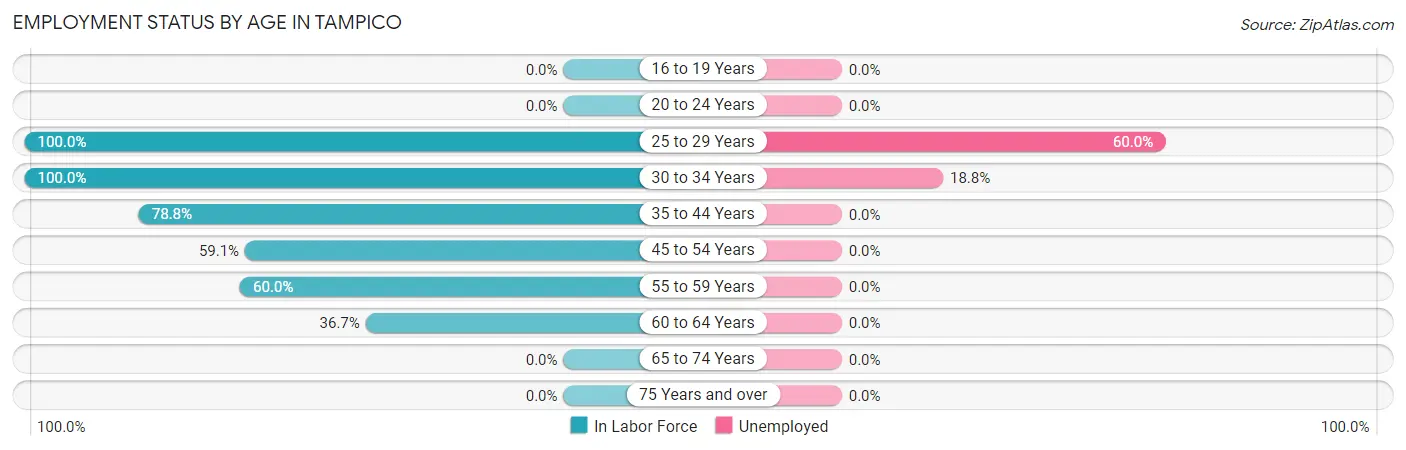 Employment Status by Age in Tampico