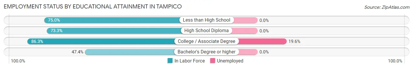 Employment Status by Educational Attainment in Tampico