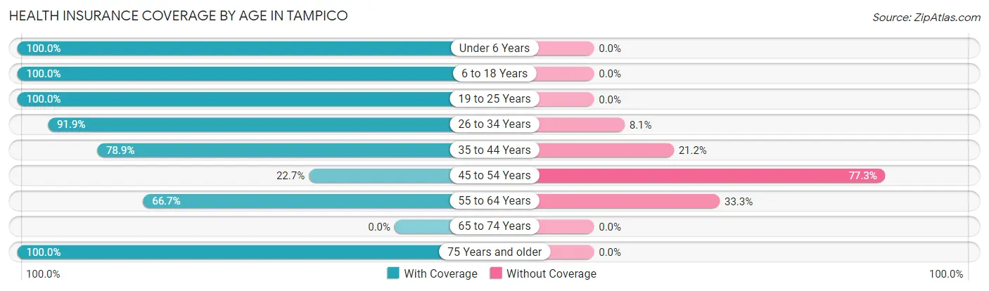Health Insurance Coverage by Age in Tampico