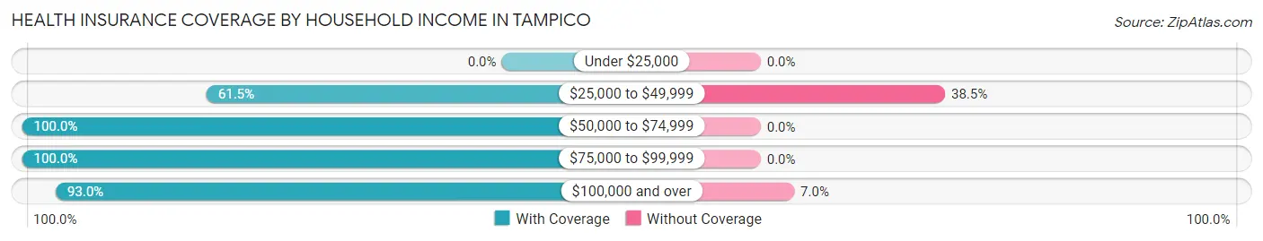 Health Insurance Coverage by Household Income in Tampico
