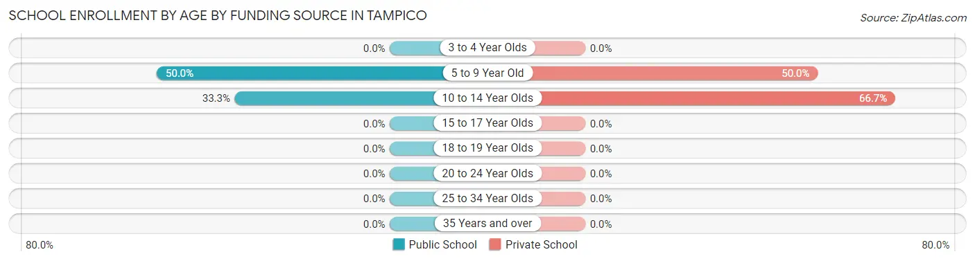 School Enrollment by Age by Funding Source in Tampico