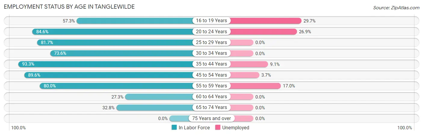 Employment Status by Age in Tanglewilde