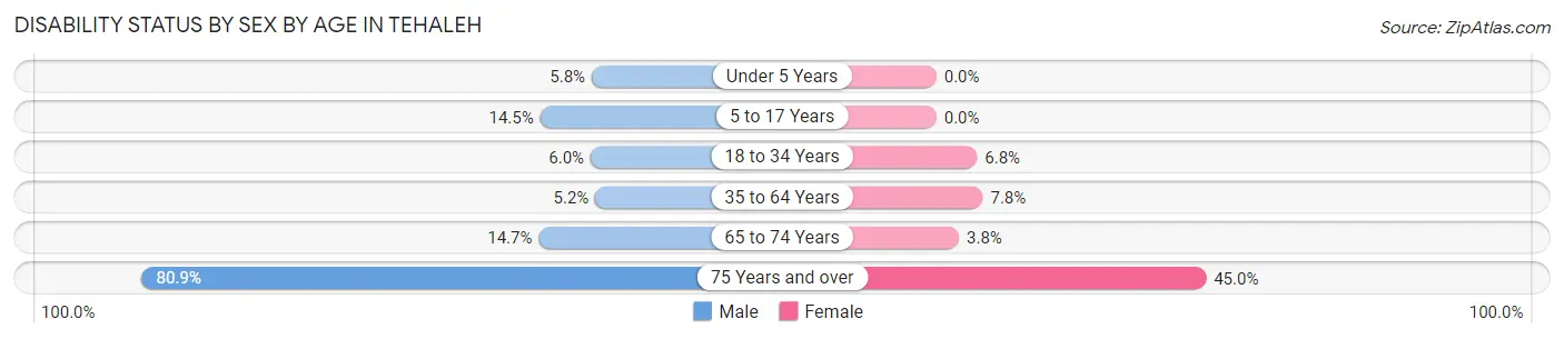Disability Status by Sex by Age in Tehaleh
