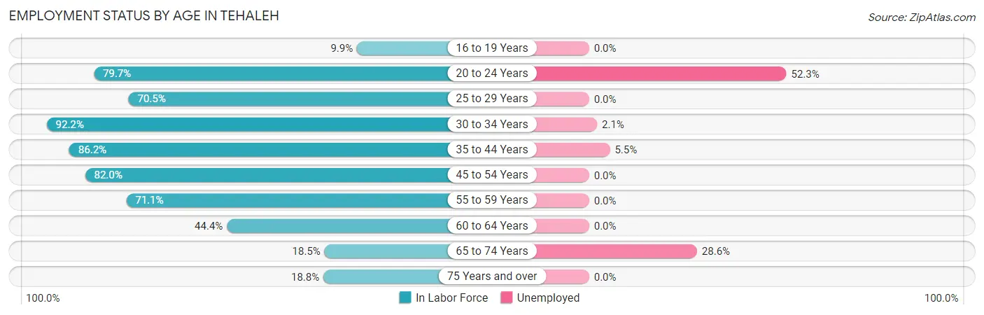 Employment Status by Age in Tehaleh