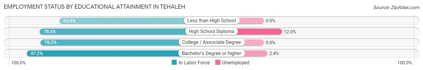 Employment Status by Educational Attainment in Tehaleh