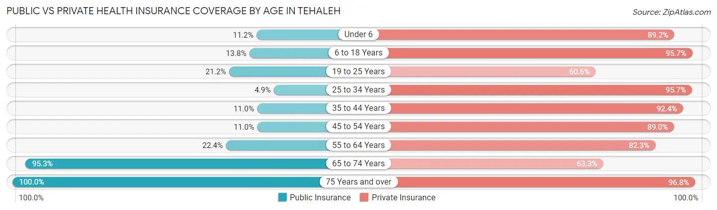 Public vs Private Health Insurance Coverage by Age in Tehaleh