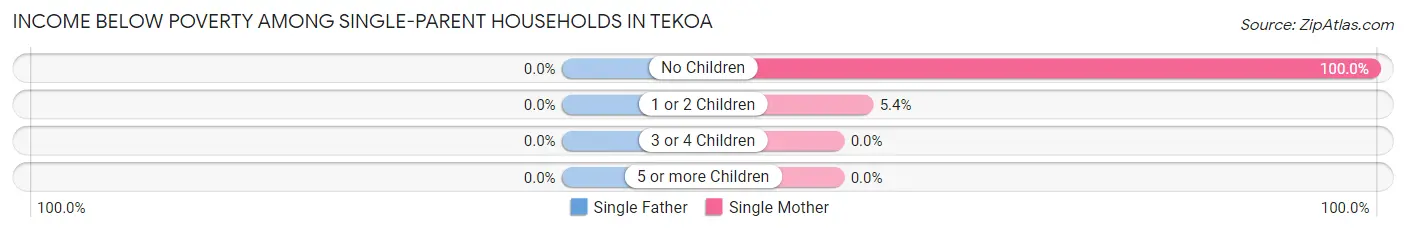 Income Below Poverty Among Single-Parent Households in Tekoa