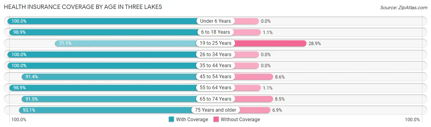 Health Insurance Coverage by Age in Three Lakes