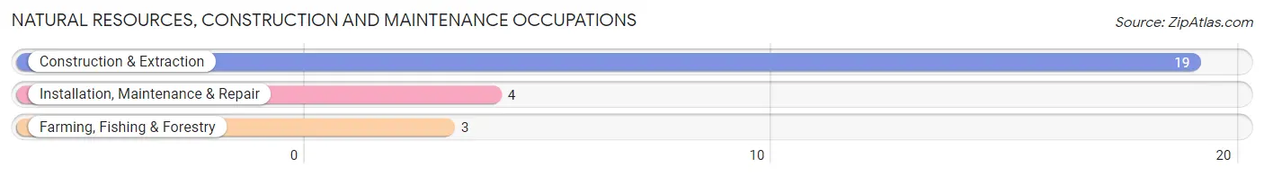 Natural Resources, Construction and Maintenance Occupations in Toledo