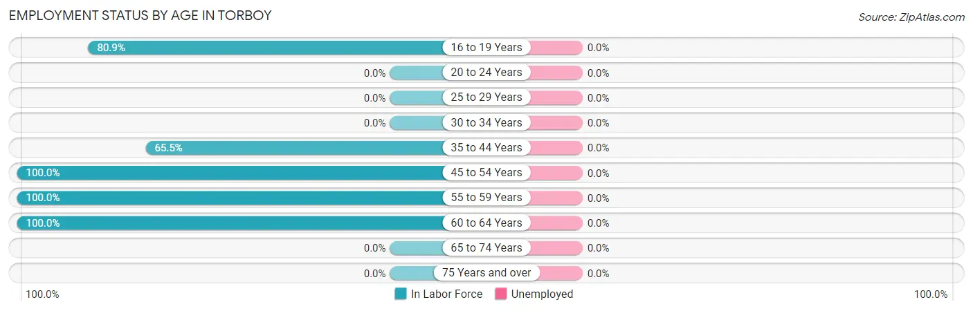 Employment Status by Age in Torboy