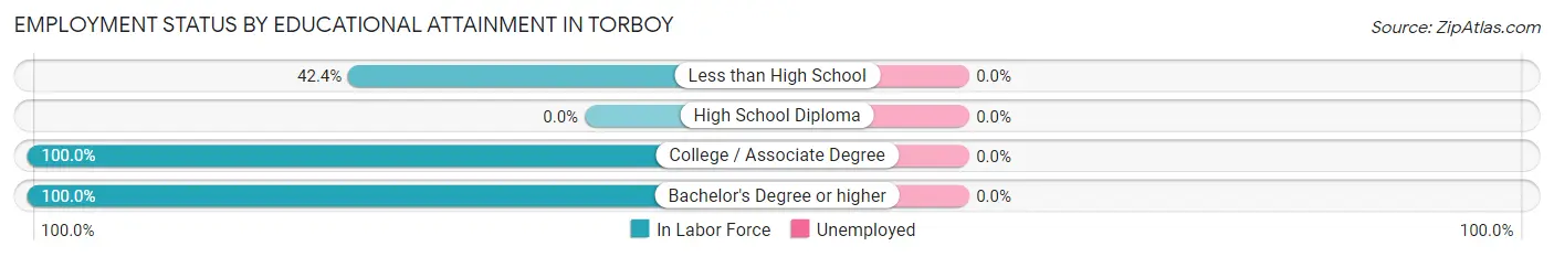Employment Status by Educational Attainment in Torboy