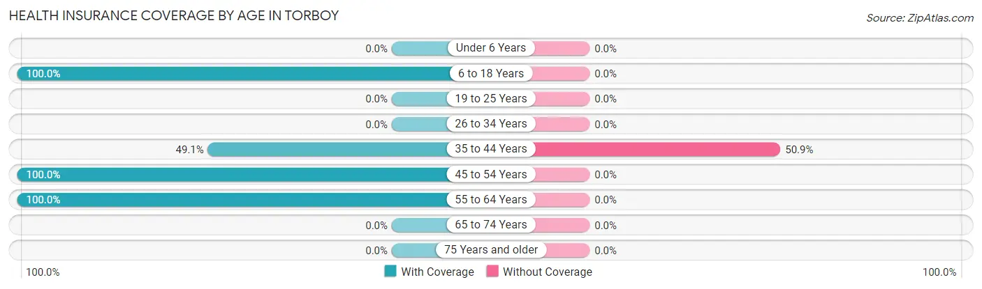 Health Insurance Coverage by Age in Torboy