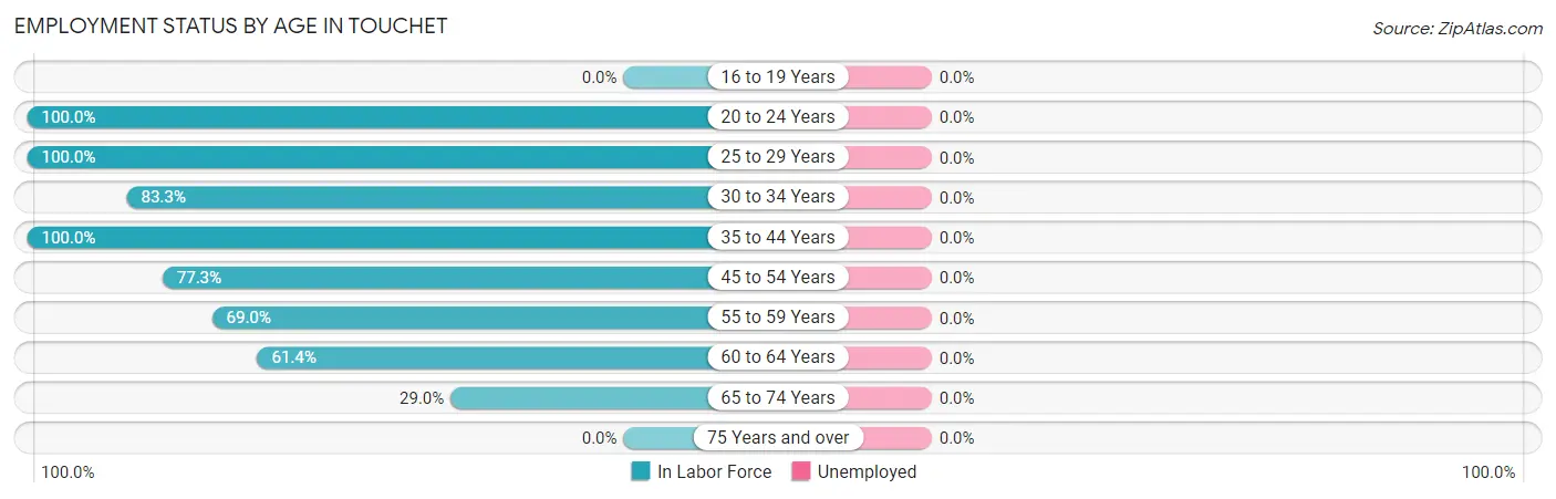 Employment Status by Age in Touchet