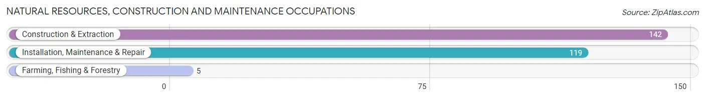 Natural Resources, Construction and Maintenance Occupations in Town and Country