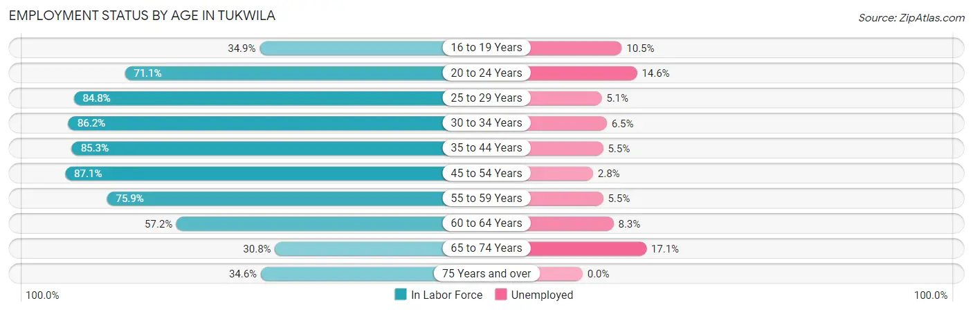 Employment Status by Age in Tukwila