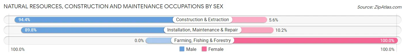 Natural Resources, Construction and Maintenance Occupations by Sex in Tukwila