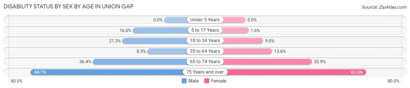 Disability Status by Sex by Age in Union Gap