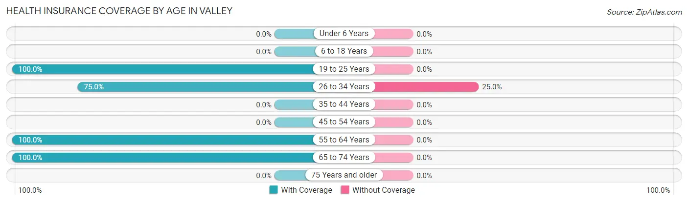 Health Insurance Coverage by Age in Valley
