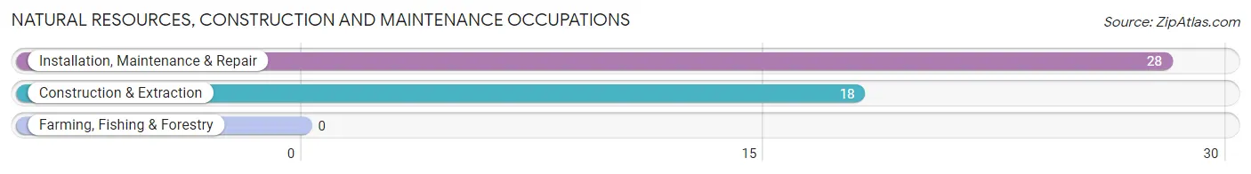 Natural Resources, Construction and Maintenance Occupations in Vaughn