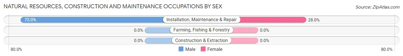 Natural Resources, Construction and Maintenance Occupations by Sex in Verlot
