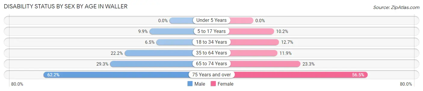 Disability Status by Sex by Age in Waller