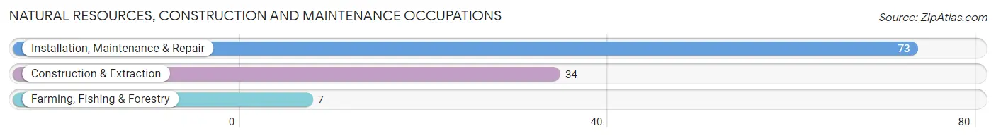 Natural Resources, Construction and Maintenance Occupations in Warm Beach