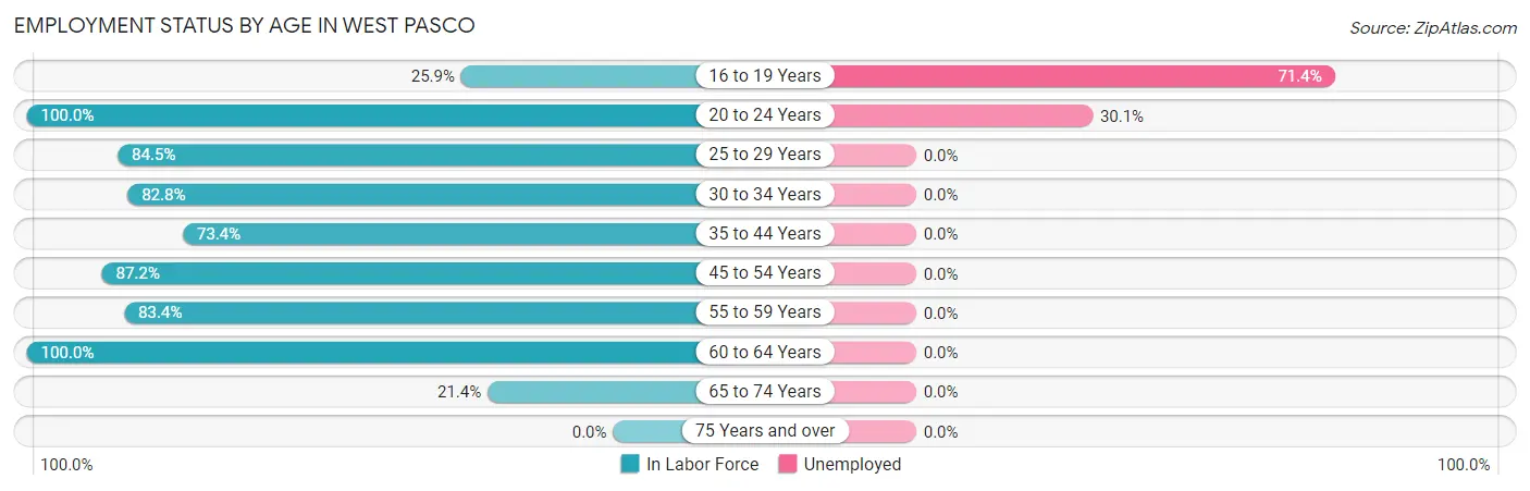 Employment Status by Age in West Pasco