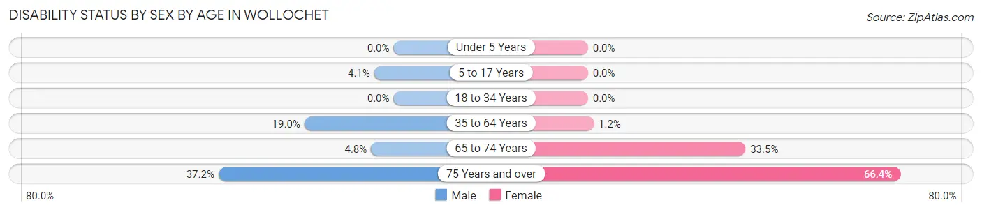 Disability Status by Sex by Age in Wollochet