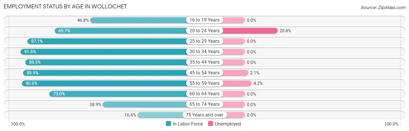 Employment Status by Age in Wollochet