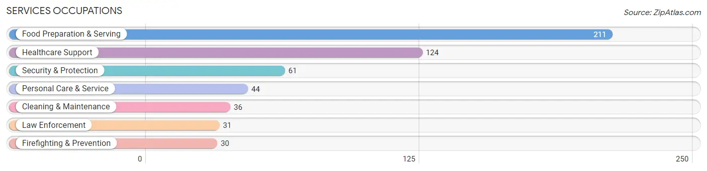 Services Occupations in Wollochet