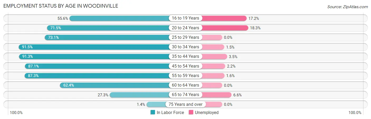Employment Status by Age in Woodinville