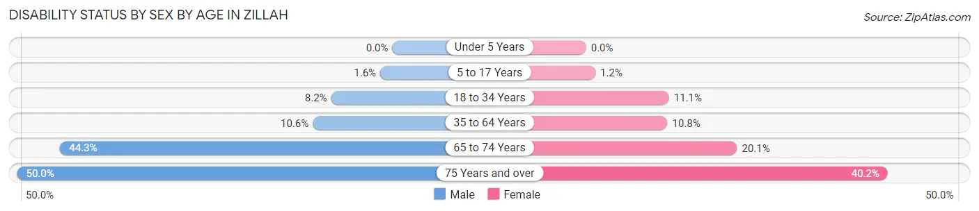 Disability Status by Sex by Age in Zillah