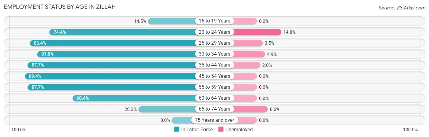 Employment Status by Age in Zillah
