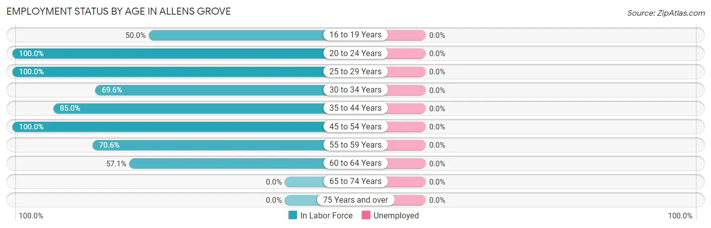 Employment Status by Age in Allens Grove