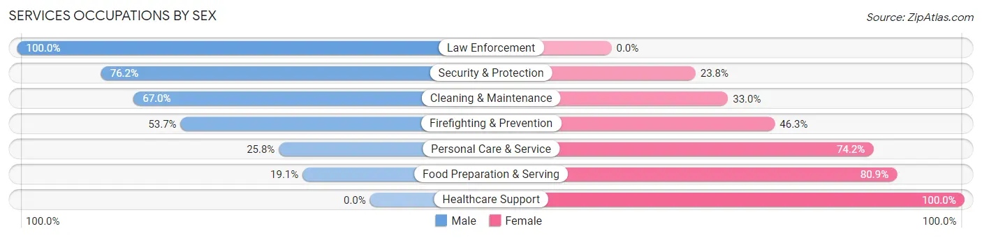 Services Occupations by Sex in Allouez