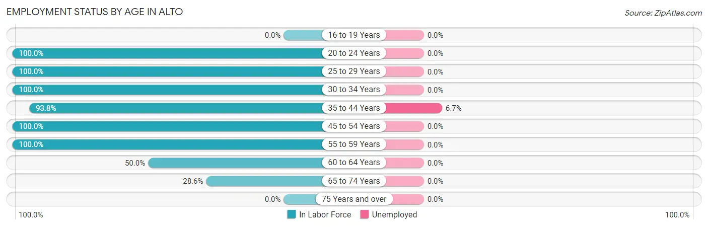 Employment Status by Age in Alto