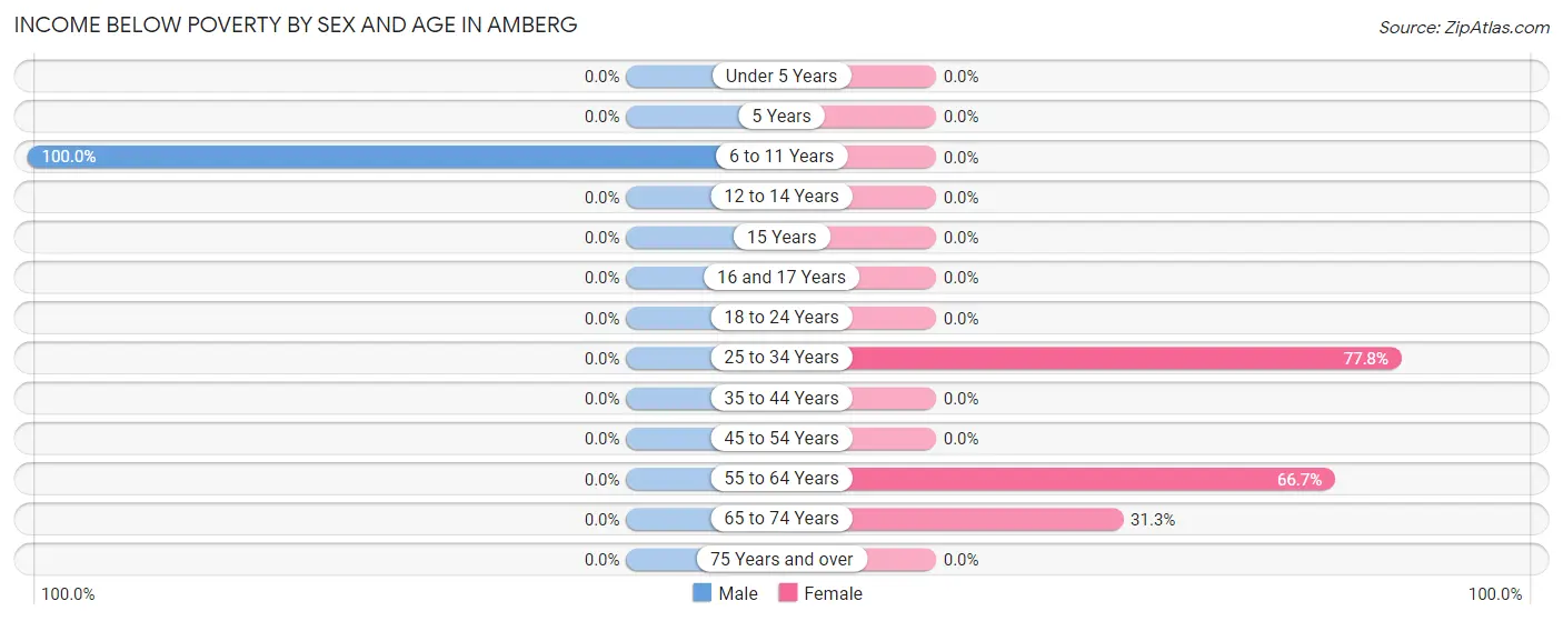 Income Below Poverty by Sex and Age in Amberg