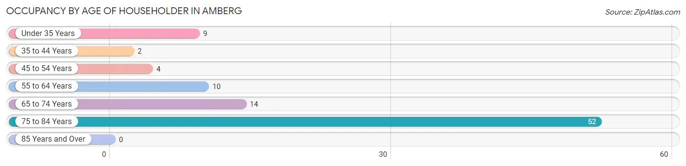 Occupancy by Age of Householder in Amberg