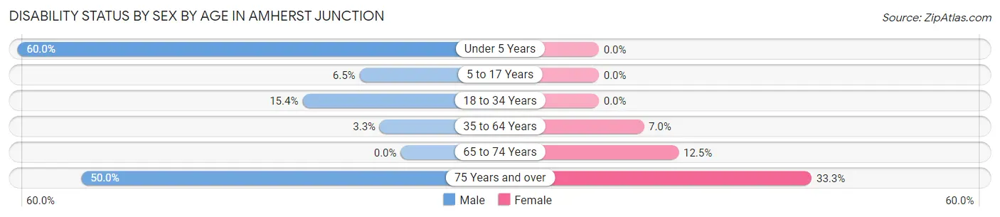 Disability Status by Sex by Age in Amherst Junction