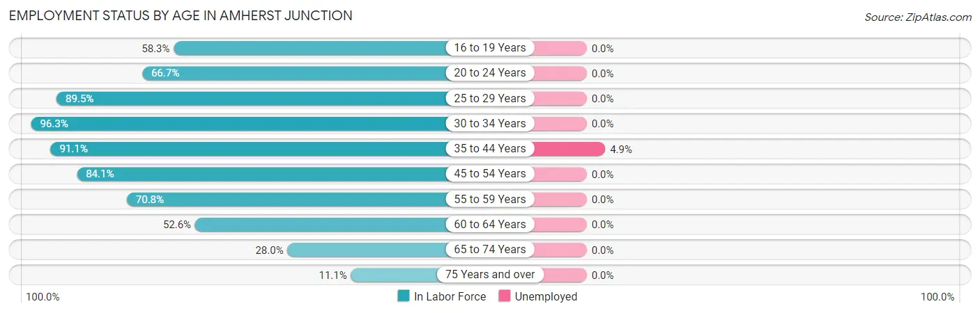 Employment Status by Age in Amherst Junction