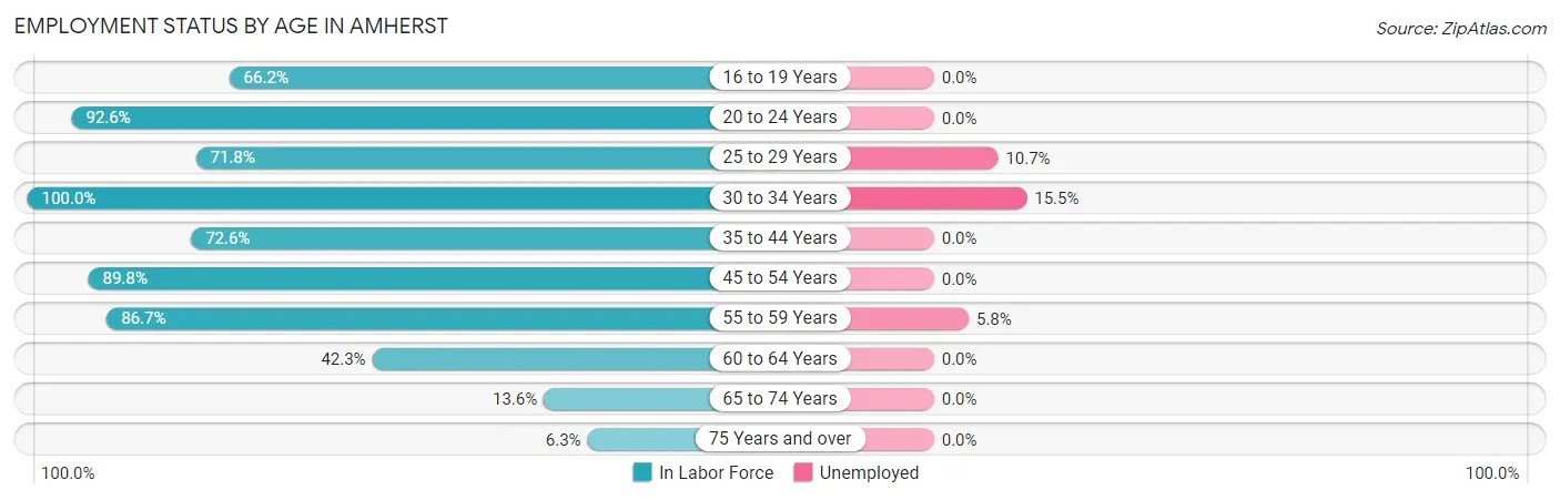 Employment Status by Age in Amherst