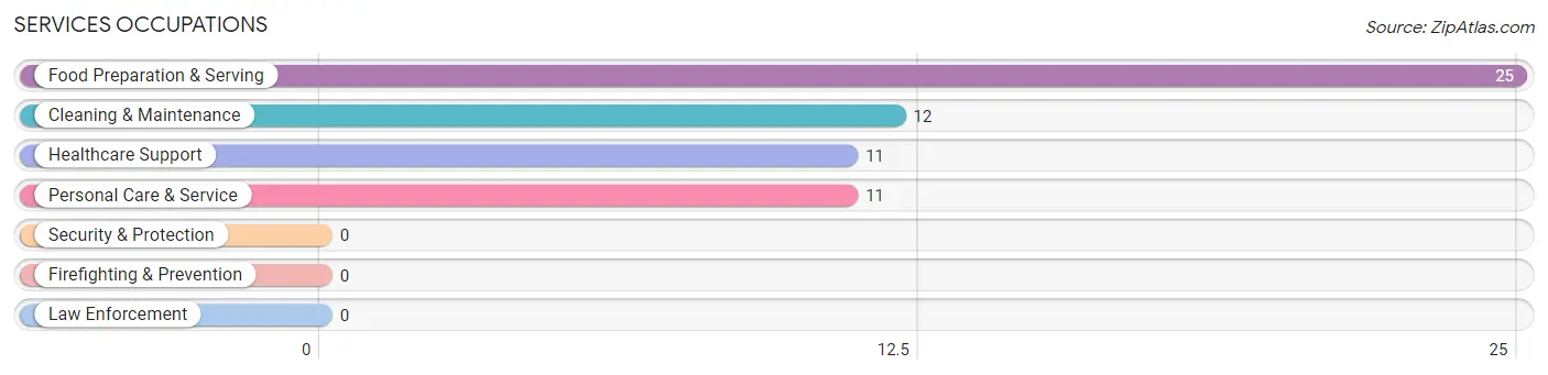 Services Occupations in Amherst