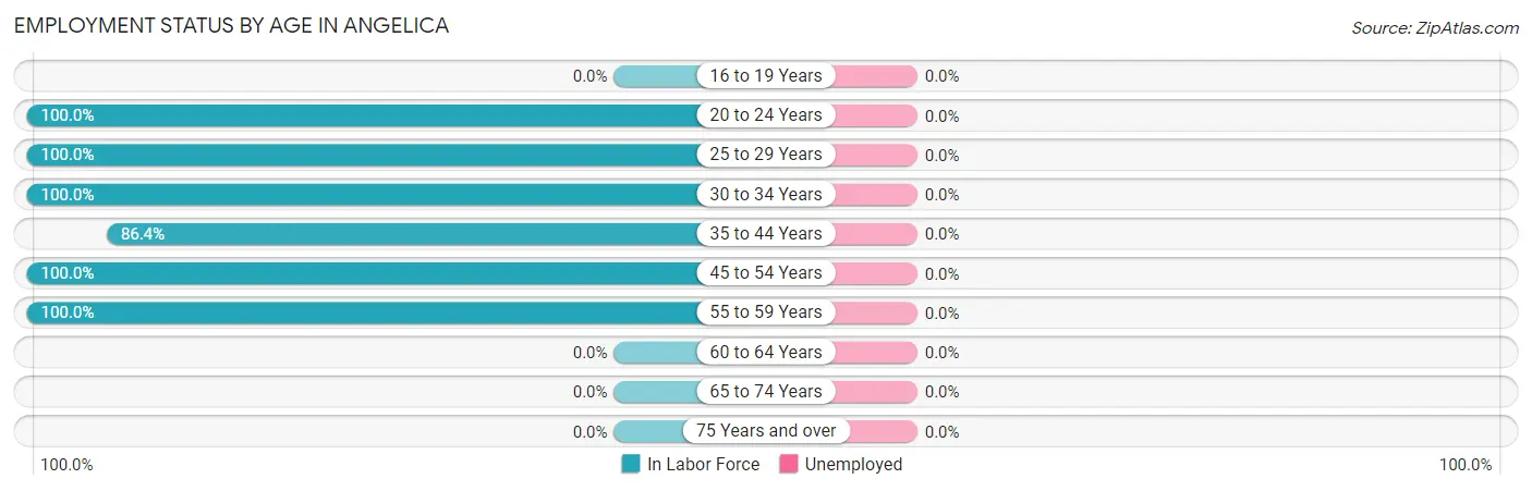 Employment Status by Age in Angelica