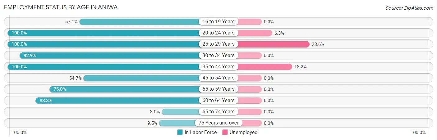Employment Status by Age in Aniwa