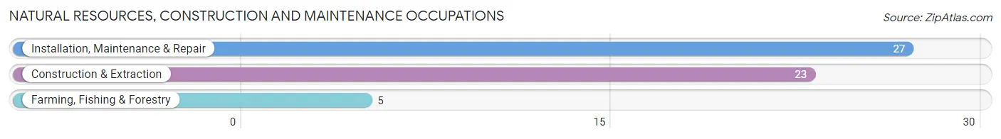 Natural Resources, Construction and Maintenance Occupations in Auburndale