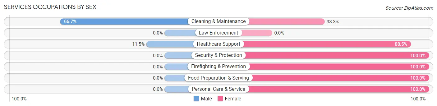 Services Occupations by Sex in Auburndale