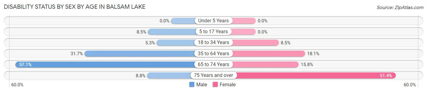 Disability Status by Sex by Age in Balsam Lake