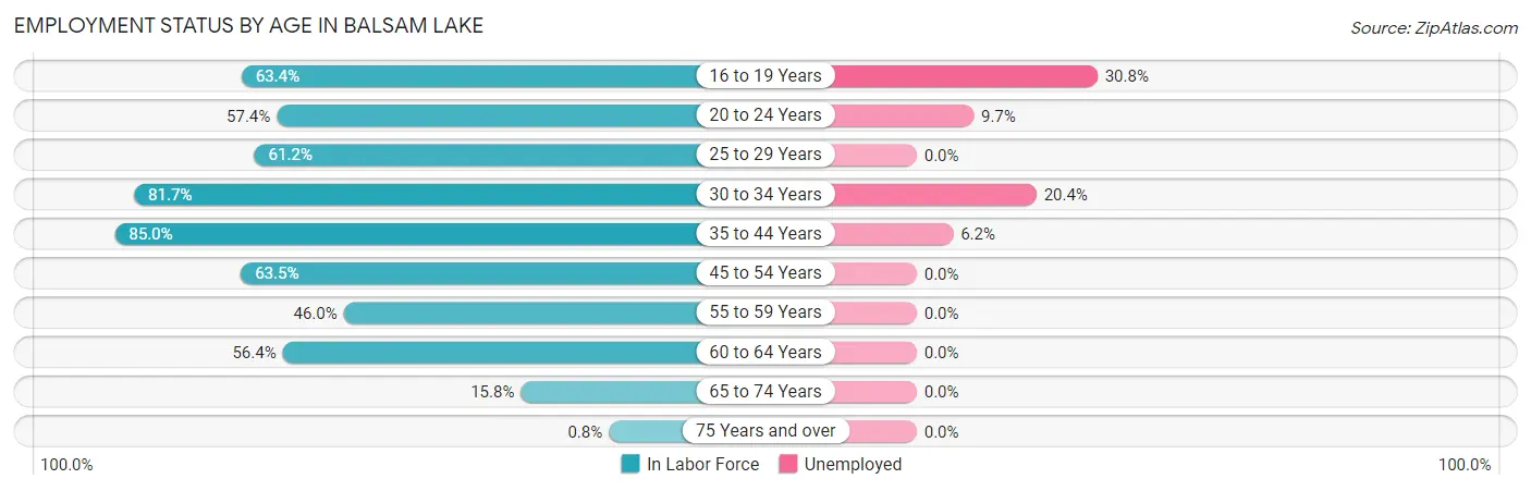 Employment Status by Age in Balsam Lake